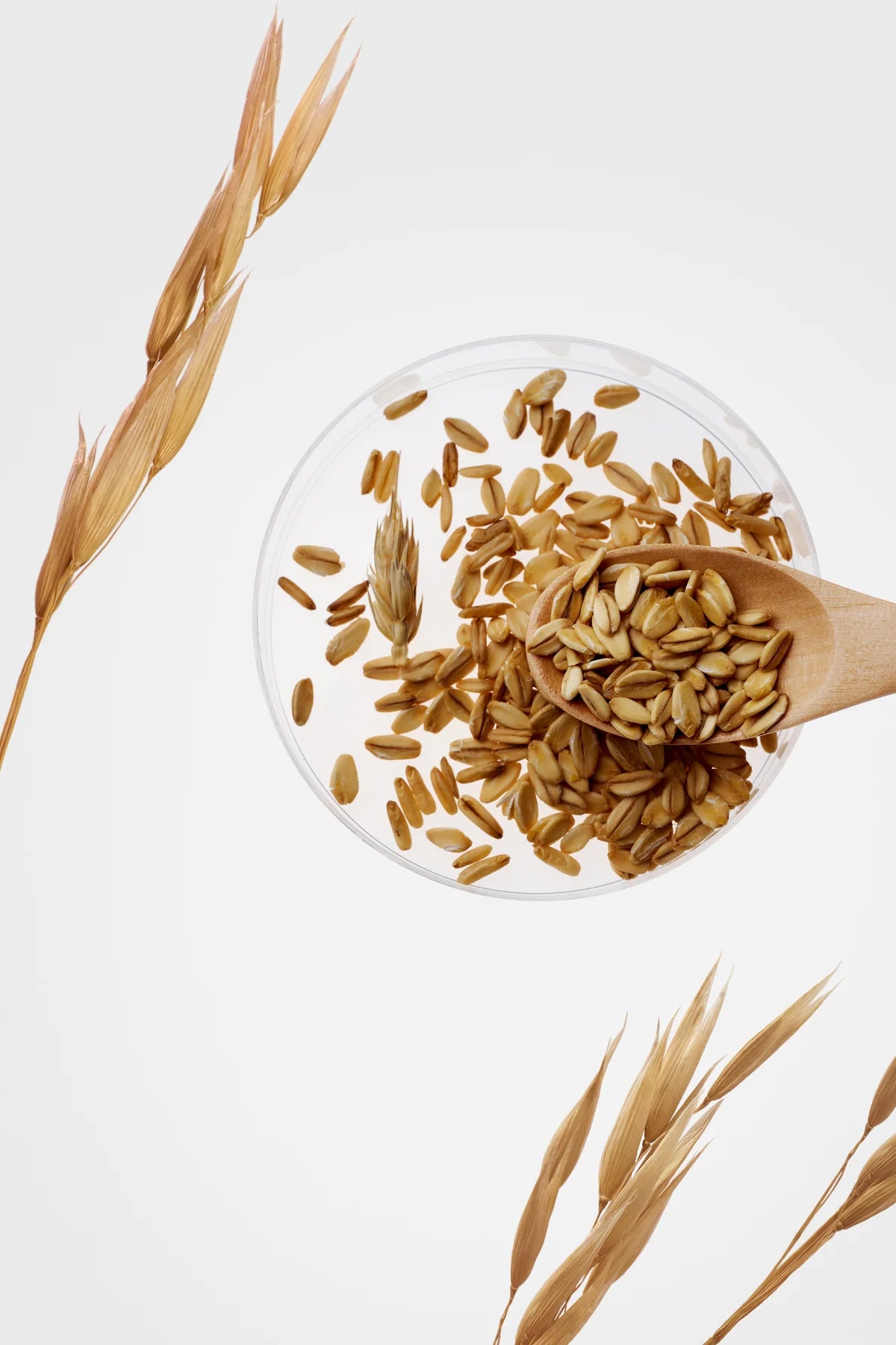 PURITO Oat-In Calming Gel Cream (100ml)