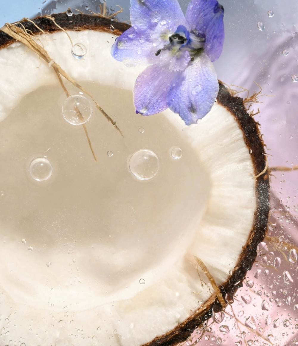 EVOLUTION OF SMOOTH Coconut Waters Hand Cream (74ml)